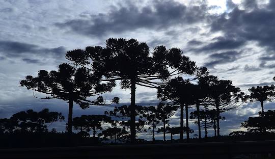 loja de produtos hospitalares em araucária